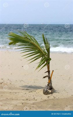  The Young Coconut Palm - Uma Aventura Tropical de Curiosidade e Amizade!