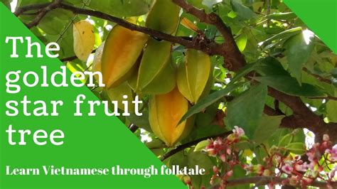  The Golden Star Fruit: A Timeless Vietnamese Tale Exploring Fate and Perseverance!